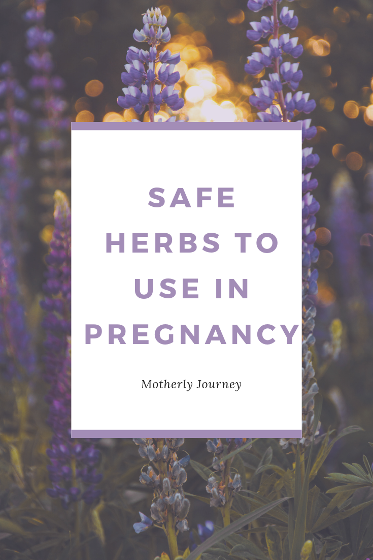 Safe Herbs For Pregnancy - Motherly Journey